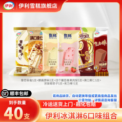 伊利 国产巧乐兹巧克力味雪糕 2510g 40支