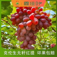 鑫佳叶 xingjiaye 西昌大凉山克伦生葡萄红提  净重2斤装  1-2串  单果4g+