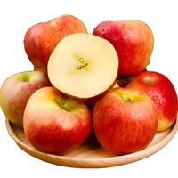 京鲜生 云南昭通红露苹果 净重 单果65mm+新鲜水果 源头直发 包邮