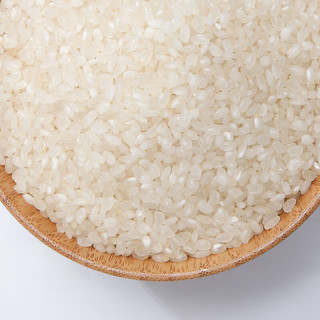 米|多|宝【珍珠米大米2.5kg】东北大米当季新米五谷杂粮粗粮大米饭粥米 米多宝-珍珠米2.5kgx2袋