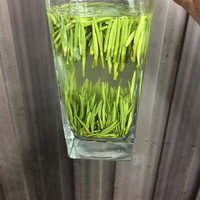 杨昌号雀舌茶叶2025新茶正宗一级四川高山嫩芽绿茶明前清香型春茶 两（250g）