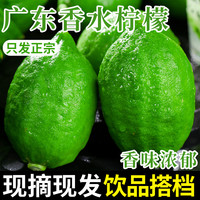 正宗广东香水柠檬新鲜水果青柠檬饮品整箱奶茶店专用9斤批包邮