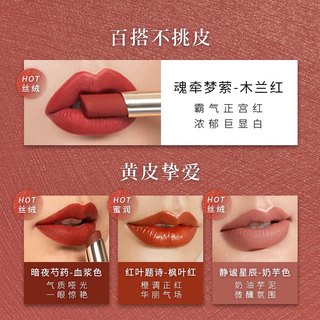 Heir赫艾迩小磁条口红四色尤物丝绒唇膏哑光微绒 小磁条口红女 暗夜芍药--血浆色 效期至25年10月