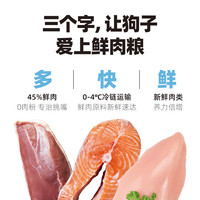 伯纳天纯 鲜护食力系列 宠物狗粮  0谷物成犬幼犬中大型小型犬通用狗粮 鸡肉400g