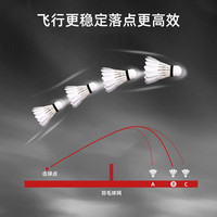 李宁 LI-NING羽毛球球鹅毛G100比赛室内专业G500耐打训练球耐打王 李宁 LI-NING C30S 76速 鹚鸪鸭 12只 经济实惠球