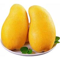 京极鲜 海南金煌芒 新鲜水果大芒果爆甜多汁礼盒整箱