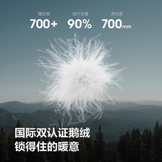 波司登（BOSIDENG）2590鹅绒轻薄羽绒服男短款轻量立领保暖通勤外套B250131037 椰棕咖|7F12 S 170/92A 体重约120-130斤
