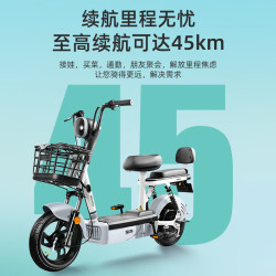 宝岛电动车 BODO 宝岛新国标电动车抹茶48V12Ah铅酸电池代步长续航电动自行车 元气咖 青竹绿