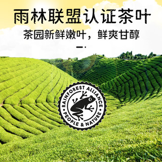 立顿茶包0糖0脂经典茉莉花茶绿茶黄牌红茶独立包装茶叶袋泡茶提神