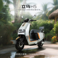立马电动车 立马大动力电动摩托车H5三代续航90公里 1500W风冷电机 摩托级液压减震 曙光银