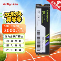 金泰克 P3系列 PCIe 3.0 固态硬盘 256G