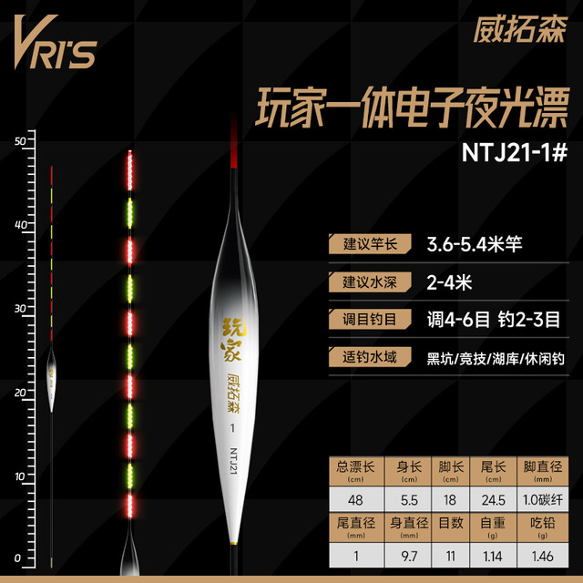 威拓森 日夜两用电子漂尾