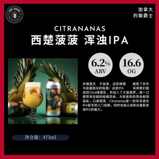  TASTE ROOM/风味屋 浑浊IPA 啤酒