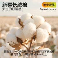 【蚕丝抗菌裆】儿童内裤男童纯棉a类男孩中大童小童宝宝平角短裤