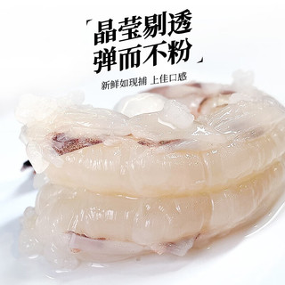森农乐舟山竹节虾鲜活斑节虾特大九节虾冷冻野生大虾基围虾黑虎虾海虾类 1500g(净重)  10-12cm【23-28头/斤】