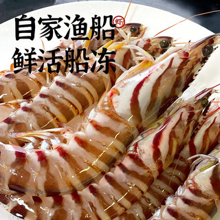 森农乐舟山竹节虾鲜活斑节虾特大九节虾冷冻野生大虾基围虾黑虎虾海虾类 1000g(净重)  22-26cm【7-9头/斤】