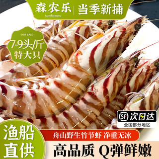 森农乐舟山竹节虾鲜活斑节虾特大九节虾冷冻野生大虾基围虾黑虎虾海虾类 1000g(净重)  22-26cm【7-9头/斤】