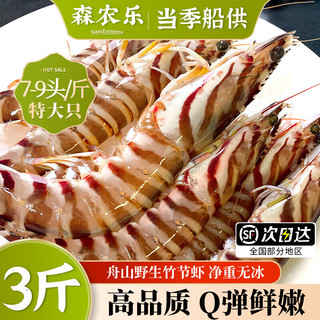 森农乐舟山竹节虾鲜活斑节虾特大九节虾冷冻野生大虾基围虾黑虎虾海虾类 1500g(净重)  10-12cm【23-28头/斤】