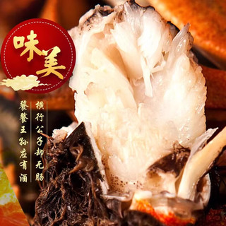【活蟹】洪泽湖大闸蟹 去绳足重  8只 鲜活六月黄现货超大 源头直发