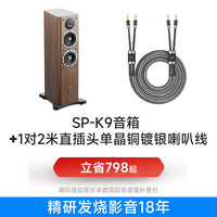 开博尔 发烧家庭影院电视客厅落地前置主音箱家用HIFI音响高保真无源立体声专业大功率 一对装 k9音箱+单晶铜镀银喇叭线2米1对