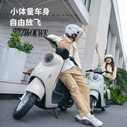 爱玛 电动车飞凡电动自行车48V24AH锂电成人新国标电瓶车 淡雾灰白 45-100km