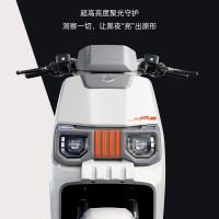 爱玛 长续航 电动自行车  铅酸电池 48V