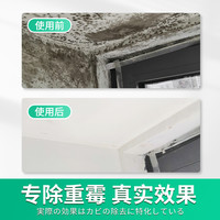 除霉剂墙体墙面墙壁去霉斑霉菌清洁剂喷雾发霉清除剂防霉家用