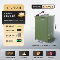 深远大 大电动车锂电池 铁锂52V30Ah适配48V