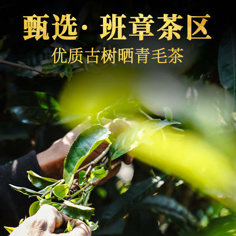 下关沱茶茶叶 普洱生茶生普 2024年生态班章古树 沱茶280g/盒 年货礼盒