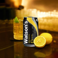 PLUS会员：watsons 屈臣氏 苏打水原味330mL*24罐