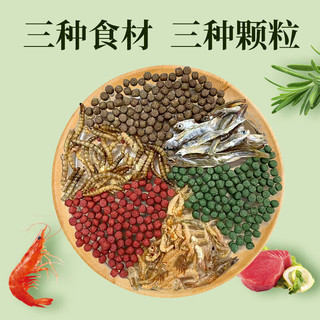 森森乌龟饲料通用龟龟粮鱼干虾干YGL-02幼龟巴西龟草龟龟料专用粮