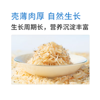 晶海运【大连产地】干裙带菜50g+虾皮50g 煲汤搭档 鲜香美味 源头直发