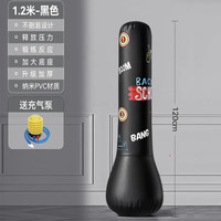 智喜熊 专享价：儿童拳击沙袋加厚充气拳击柱不倒翁拳击靶家用青少年搏击训练器材 1.2米|雅黑|充气套餐装