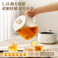 小熊 全玻璃壶体 安吨吨养生壶恒温壶YSH-H15L2 1.5L 护底防碎裂