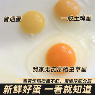 豫南缘无抗富硒虫草蛋无激素农家散养土鸡蛋富硒蛋新鲜鸡蛋生鲜超市同款 40枚 | 京东/+珍珠棉包装 24小时鲜蛋+超200项检测