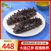 深海地带 Deep Sea Zone 深海地带 大连底播鲜食辽刺参 冷冻海参 1000g(10-14头)