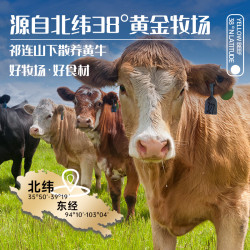 祁连天宝 牛肋条甘肃祁连山黄牛牛肋肉散养牛肉去骨牛肋条肉生鲜烧烤食材