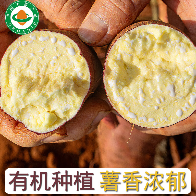 诸氏橙品【有机】红薯 榴莲蜜薯 云南新鲜现挖番薯沙地烤地瓜 根茎类蔬菜 【有机蜜薯】小果 约50-150g