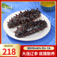 深海地带 DeepSeaZone 深海地带 大连底播鲜食辽刺参 冷冻海参 500g(5-7头)