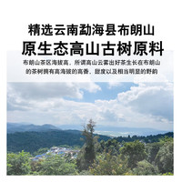 隆晨 6包3000克云南滇红茶叶布朗山古树滇红茶蜜香滇红金针功夫红茶 整箱6包3000克