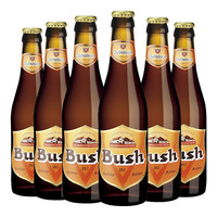 布什 Bush 烈性精酿 比利时 艾尔啤酒 330ml*6瓶