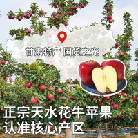 沐小七果蔬甘肃天水花牛粉面苹果 【极兔速运-可】水果蛇果 A+大果（单果约70-75mm） 5斤装【80%选择-超划算】净4.5斤*