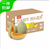 京鲜生 哈密瓜西州蜜25号 净重7-8斤2-4粒装 源头直发 甘肃哈密瓜净重7-8斤2-4粒装