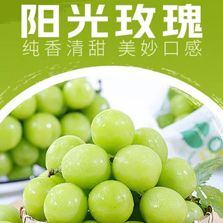 樱鲜 阳光玫瑰葡萄
