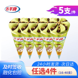 五羊牌 Wuyang 五羊牌 榴莲味甜筒雪糕 73g/支 6支