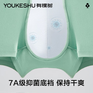有棵树 YOUKESHU男士内裤男棉质7A抑菌档防螨透气宽松舒适抗菌四角平角裤衩内裤 2XL