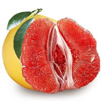 萧鲜生精选三红柚子老树红心柚子(拍2件合并一箱)当季新鲜水果 严选红心柚子 4.25-4.5斤(1-2个)
