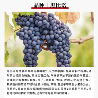 谢尼酒庄石灰岩黑皮诺红葡萄酒/石灰岩长相思白葡萄酒 法国卢瓦河谷 黑皮诺红葡萄酒