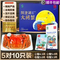 百亿补贴：四记联洋 阳澄湖大闸蟹 公3.0两 母3.0两 5对10只蟹卡