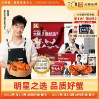 蟹太太 MRSCRAB 大闸蟹公4.0两母3.0两4对蟹卡提货卡螃蟹活蟹礼盒T